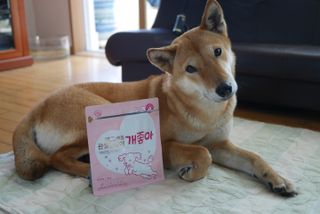루비님이 올린 리뷰 사진 1