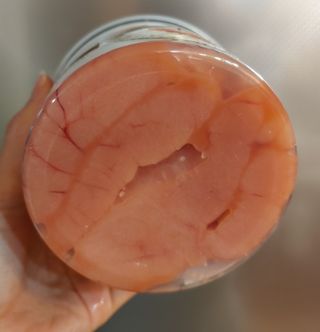 치르치르님이 올린 리뷰 사진 3