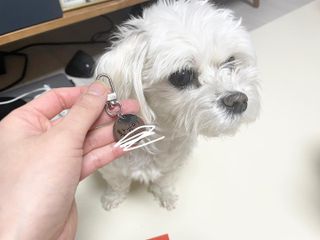 쓸언니님이 올린 리뷰 사진 3