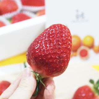 옳음 딸기 논산 설향 딸기 900g 산지직송 — 5점을 준 리뷰어가 2021년 2월 올린 사용 사진