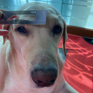 Lilly❤️님이 올린 리뷰 사진 2