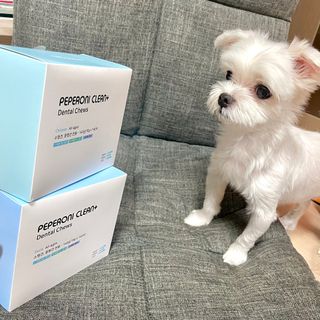 라진님이 올린 리뷰 사진 1