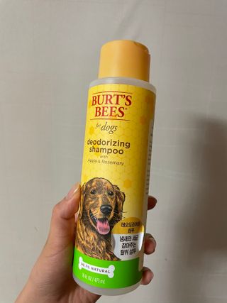 어거스트비님이 올린 리뷰 사진 1