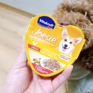 비타크래프트 조에시 하트캔 85g 강아지 습식캔 10캔 — 5점을 준 리뷰어가 2021년 10월 올린 사용 사진