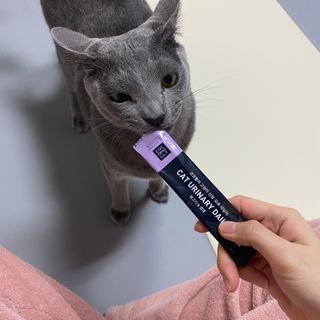 코코몰리 고양이 구강• 헤어볼 데일리 /신장• 요로 데일리 — 5점을 준 리뷰어가 2021년 3월 올린 사용 사진