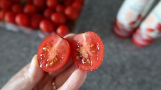 레드닥터  대추방울토마토 + 매콤새콤달콤 레드닥터 토마토 소스 — 5점을 준 리뷰어가 2022년 12월 올린 사용 사진