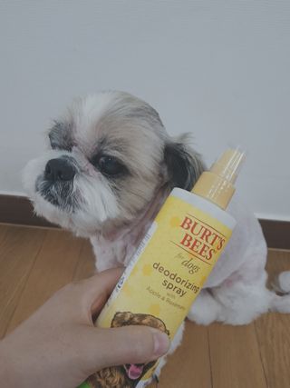 민우다빈이맘님이 올린 리뷰 사진 2