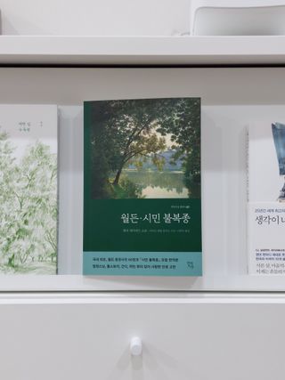 금주부님이 올린 리뷰 사진 4
