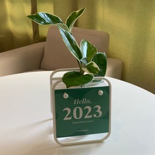 [메이크정글] 식물과 달력이 하나로, 2023년 식물캘린더 No.1 — 5점을 준 리뷰어가 2022년 10월 올린 사용 사진
