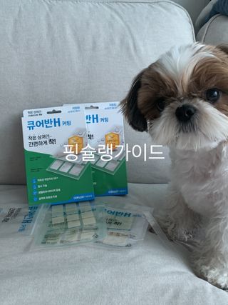 [큐어반H 커팅] 간편하게 떼서 쓰는 자외선차단 습윤밴드 (1팩/30매입) — 5점을 준 리뷰어가 2022년 12월 올린 사용 사진