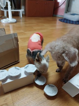 쪼꼬사랑이언니님이 올린 리뷰 사진 3