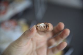 리뷰우투리님이 올린 리뷰 사진 4