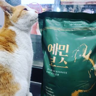 까꿍님이 올린 리뷰 사진 1