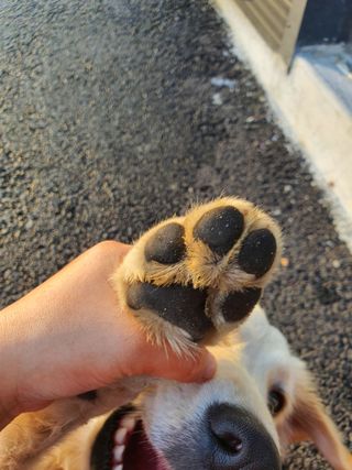 시네님이 올린 리뷰 사진 4