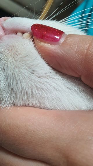 쩡이님이 올린 리뷰 사진 1