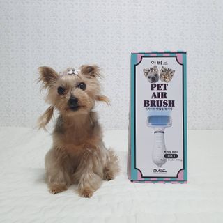 아베크 펫 강아지 고양이 애견 에어 브러쉬 드라이기 올인원 — 5점을 준 리뷰어가 2021년 7월 올린 사용 사진