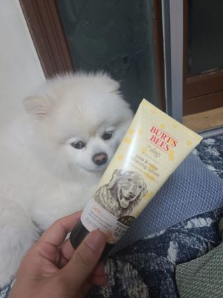 세상에없는나님이 올린 리뷰 사진 1
