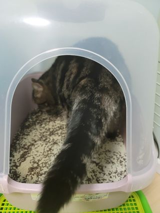 란다김님이 올린 리뷰 사진 3
