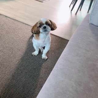 혤님님이 올린 리뷰 사진 4