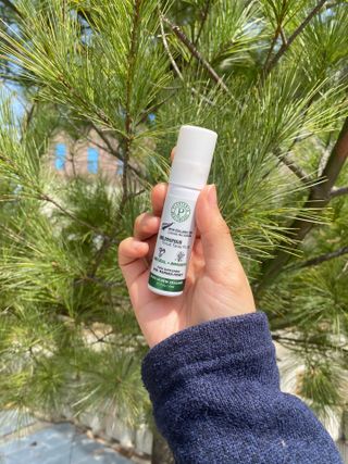 플랜토닌 프로폴리스 인후 스프레이 20ml — 5점을 준 리뷰어가 2023년 3월 올린 사용 사진