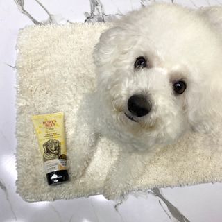 버츠비 케어플러스 릴리빙포앤노즈로션 — 5점을 준 리뷰어가 2021년 4월 올린 사용 사진