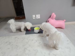 꾸꾸엄마님이 올린 리뷰 사진 3