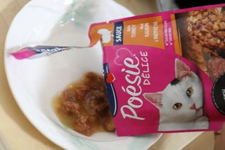 비타크래프트 포에시 델리스 고양이 파우치 85g 9가지맛 1팩씩 — 5점을 준 리뷰어가 2021년 8월 올린 사용 사진