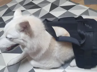 딸랑구둘🥰님이 올린 리뷰 사진 2
