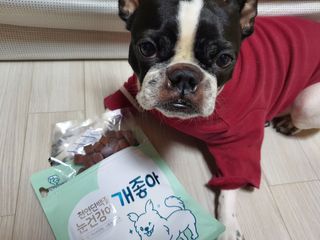 My Pet Care 천연단백질 눈건강에 개좋아 — 5점을 준 리뷰어가 2021년 2월 올린 사용 사진