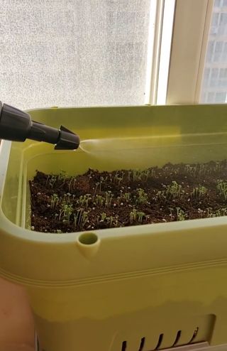 오투오 바이톤 산성용 압축분무기 — 5점을 준 리뷰어가 2021년 6월 올린 사용 사진