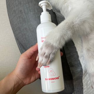 [댕모어 샴푸 2종] 댕샴푸 / 퍼피샴푸  2종 세트 (300ml) — 5점을 준 리뷰어가 2023년 9월 올린 사용 사진