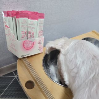 pussyess님이 올린 리뷰 사진 4