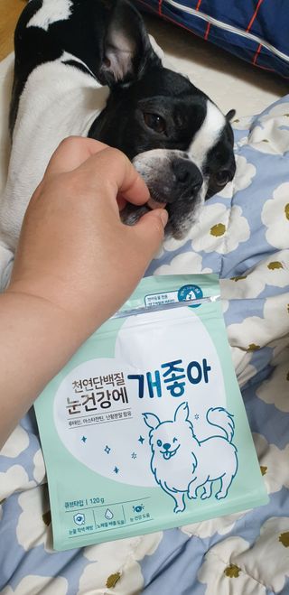 My Pet Care 천연단백질 눈건강에 개좋아 — 5점을 준 리뷰어가 2021년 3월 올린 사용 사진