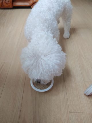 best7님이 올린 리뷰 사진 1