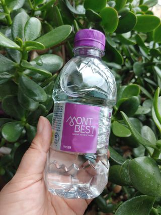 몽베스트 [MONTBEST] 330mL 20병 — 5점을 준 리뷰어가 2021년 10월 올린 사용 사진