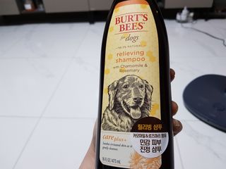 쏭블리님이 올린 리뷰 사진 1
