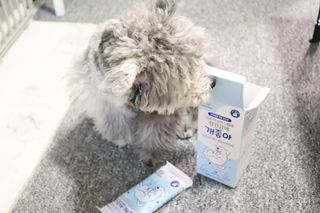 김이설님이 올린 리뷰 사진 3