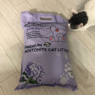 겟플렉스 켓플렉스 캣츠룸BS-1 고양이모래 4kg — 3.5점을 준 리뷰어가 2021년 1월 올린 사용 사진
