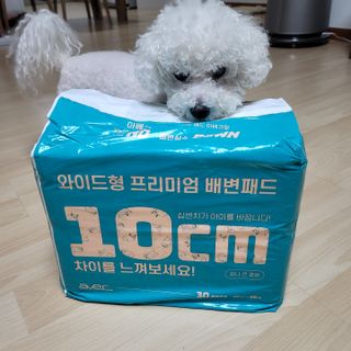 아베크 펫 와이드 프리미엄 대형 애견 강아지 배변 패드 30매 1팩 80g — 5점을 준 리뷰어가 2021년 7월 올린 사용 사진