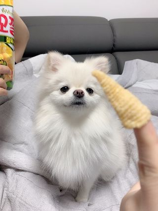 순덕아맘마먹자님이 올린 리뷰 사진 3