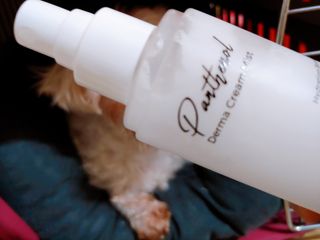 힙스터펭님이 올린 리뷰 사진 3