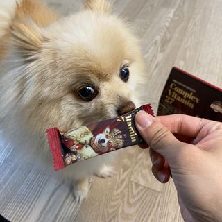 세지니힛님이 올린 리뷰 사진 2