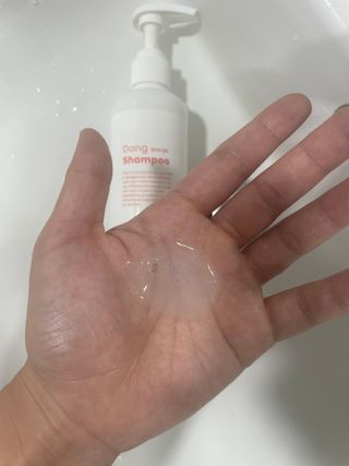 [댕모어 샴푸 2종] 댕샴푸 / 퍼피샴푸  2종 세트 (300ml) — 5점을 준 리뷰어가 2023년 10월 올린 사용 사진