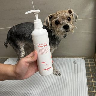 [댕모어 샴푸 2종] 댕샴푸 / 퍼피샴푸  2종 세트 (300ml) — 5점을 준 리뷰어가 2023년 8월 올린 사용 사진