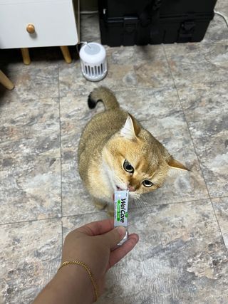 고고고님이 올린 리뷰 사진 1