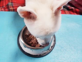 바나나님이 올린 리뷰 사진 1