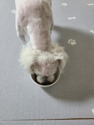 쮸디님이 올린 리뷰 사진 2