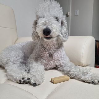 랄라맘마님이 올린 리뷰 사진 3