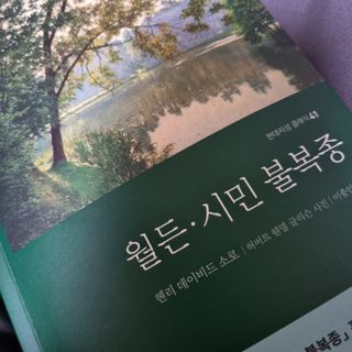 yeolsa님이 올린 리뷰 사진 3