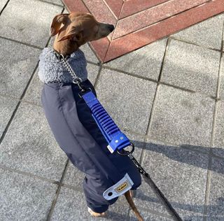 JeonEunju님이 올린 리뷰 사진 4